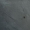 A63(Pewter)*