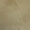 A24(Golden Beige)
